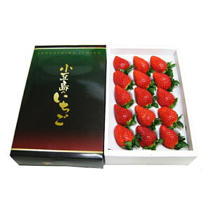 yӂ邳Ɣ[Łzy  zy2̔ẑij400g ϔ×2 ʕ  C`S @͂F2026N2{`4{