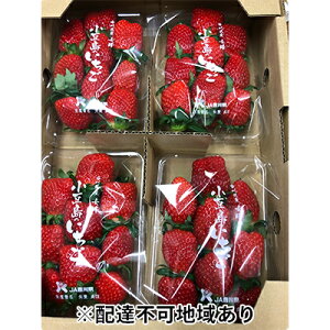 yӂ邳Ɣ[Łzy  zy3̔ẑij230g×4pbN ʕ  C`S @͂F2026N3{`5{