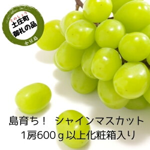 yӂ邳Ɣ[Łzy  z炿InEXVC}XJbg@1[ϔ 600gȏ ʕ Ԃǂ uhE t[c ʕ @͂F2025N7{`9{