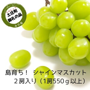 yӂ邳Ɣ[Łzy  z炿InEXVC}XJbg@2[ 1.1kg ʕ Ԃǂ t[c ʕ @͂F2025N7{`9{󋵂ɂĂ]ʂ肨͂ł