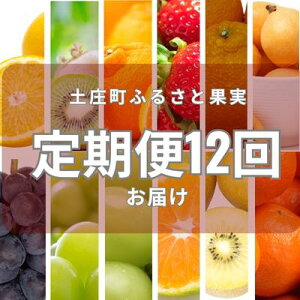 yӂ邳Ɣ[Łzy  zy ӂ邳Ɖʎ 12 ʕ t[c