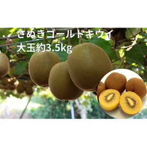 yӂ邳Ɣ[ŁzʂS[hLEC@ʖ3.5kg ʕl t[c @͂F2025N10{`12{
