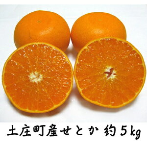 yӂ邳Ɣ[Łzy  z@Ƃ@5kg ݂ t[c ʕ k @͂F2026N2{`3{