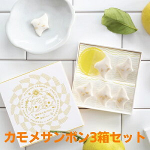 yӂ邳Ɣ[Łzy  zJT{3Zbg َq XC[c aO~ aَq  Mtg @͂FĂ肨悻2T