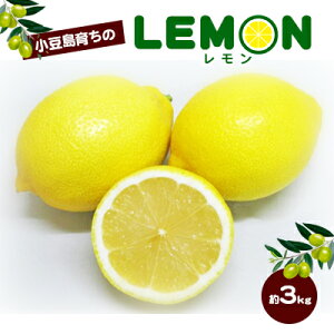 yӂ邳Ɣ[Łzy  z炿̃ 3kg EG  k ʕ t[c u₩  Y  쌧 y y@͂F2026N2{`2026N4{