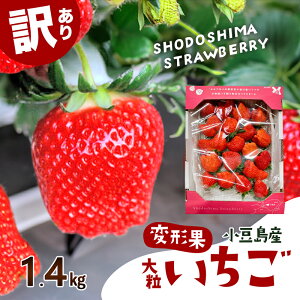 �y�ӂ邳�Ɣ[�Łz�y ������ �z�y�z���G���A���菤�i�z�� �󂠂� �E �嗱 �� �������Y �ό`�ʂ����� 1.4kg ������ � �C�`�S ���� ���􂢂��� �ό` �ʕ� �t���[�c �������� ���� ���쌧 �y�� �y