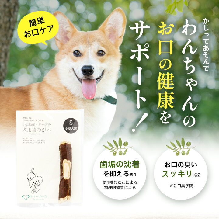楽天市場】【ふるさと納税】【 小豆島 】小豆島産オリーブの犬用はみが 