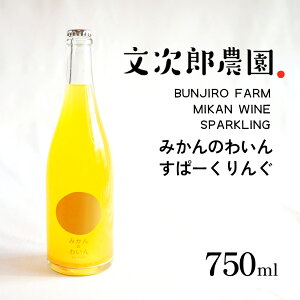 yӂ邳Ɣ[Łzy  zY_ 100 ݂̂킢 ρ[ 750ml