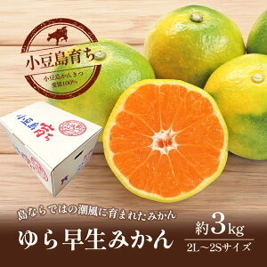 yӂ邳Ɣ[Łzy  z@瑁݂@3kg@͂F2025N10{`2025N11{