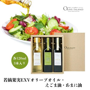 yӂ邳Ɣ[Łzy  zEʎEXVI[uICEܖE܂ɖ 120ml 3{ MtgZbg   IC 