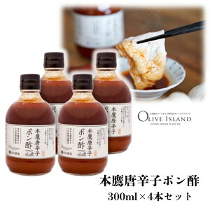 yӂ邳Ɣ[Łzy  z{铂hq|| 4{Zbg(300ml×4{)   {`||