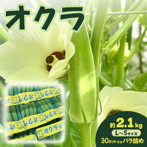 �y�ӂ邳�Ɣ[�Łz�I�N�� ��2.1kg ��؁@���͂��F2026�N7��22���`10��10��