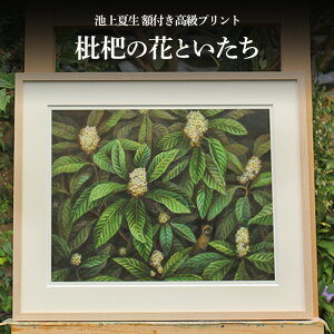 �y�ӂ邳�Ɣ[�Łz�r��Đ� �z�t�������v�����g �h���f�̉ԂƂ������h