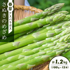 �y�ӂ邳�Ɣ[�Łz�t��A�X�p���K�X�u���ʂ��̂߂��߁v(100g×12��)