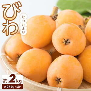 �y�ӂ邳�Ɣ[�Łz�y���ʂ��]�t���[�c�z�т� �Ȃ���� ��1kg(��250g×4)×2�� | �т� �t���[�c �ʕ� �������� �H�i �l�C �������� ��������