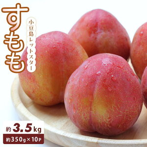 �y�ӂ邳�Ɣ[�Łz���������b�g�X�^�[ (������) 350g×10�p�b�N | ������ ���� �t���[�c �ʕ� �������� �H�i �l�C �������� ��������