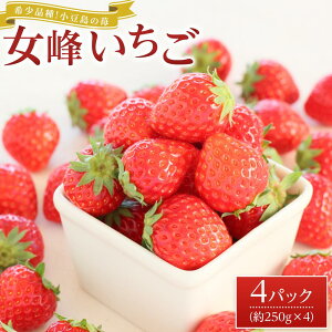 yӂ邳Ɣ[Łzy2026N2{蔭z󏭕iI䕁uv4pbN(1pbN250g) | t[c ʕ  Hi lC  
