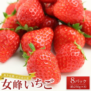 yӂ邳Ɣ[Łzy2026N2{蔭z󏭕iI䕁uv8pbN(1pbN250g) | t[c ʕ  Hi lC  