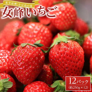 yӂ邳Ɣ[Łzy2026N2{蔭z󏭕iI䕁uv12pbN(1pbN250g) | t[c ʕ  Hi lC  