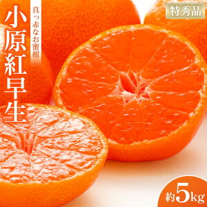 yӂ邳Ɣ[Łzy2025N11{蔭zGiI^ԂȂugvy 3kg ܂ 5kg z | t[c ʕ  Hi lC  