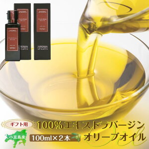 yӂ邳Ɣ[ŁzyMtgpzY100GLXgo[W(EXV) I[uIC(Pi) 100ml×2{ |  Ԃ Hi HHi lC  