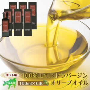 yӂ邳Ɣ[ŁzyMtgpzY100GLXgo[W(EXV)I[uIC(Pi)100ml×6{ |  Ԃ Hi HHi lC  