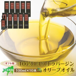 yӂ邳Ɣ[ŁzyMtgpzY100GLXgo[W(EXV)I[uIC(Pi)100ml×10{ |  Ԃ Hi HHi lC  