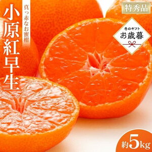 yӂ邳Ɣ[ŁzyΕMtgzGiI^ԂȂugv5kgy121`1231̊ԏz | t[c ʕ  Hi lC  