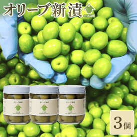 【ふるさと納税】オリーブ新漬（90g×3個）