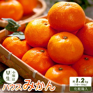 �y�ӂ邳�Ɣ[�Łz�y���ʂ��]�t���[�c�z�����g�����n�E�X�݂��� ���ϔ����� ��1.2kg (10�`18�ʓ���) | �݂��� �t���[�c �ʕ� �������� �H�i �l�C �������� ��������