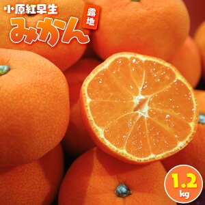 yӂ邳Ɣ[Łzg݂(In) 1.2kg | t[c ʕ  Hi