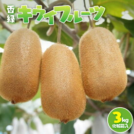 【ふるさと納税】香緑 キウイフルーツ 3kg(化粧箱) | フルーツ 果物 くだもの 食品