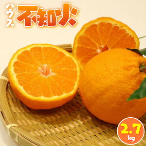 yӂ邳Ɣ[ŁznEXsm 2.7kg | t[c ʕ  Hi