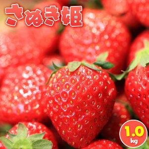 yӂ邳Ɣ[ŁzʂP 1.0kg | t[c ʕ  Hi