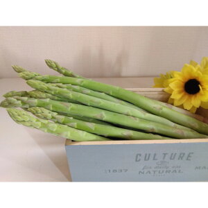 【ふるさと納税】アスパラガス さぬきのめざめ 春芽 約1kg