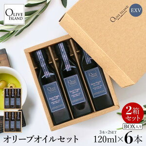 yӂ邳Ɣ[ŁzGLXgo[WiEXVjI[uIC3{Mtg2Zbgi120ml×3{×2j