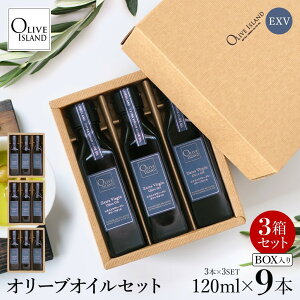 yӂ邳Ɣ[ŁzGLXgo[WiEXVjI[uIC3{Mtg3Zbgi120ml×3{×3j