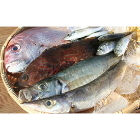 楽天市場 ふるさと納税 魚 詰め合わせの通販