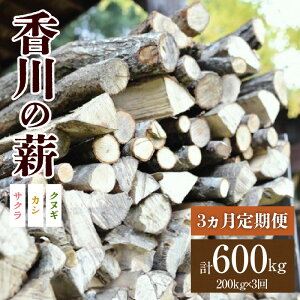 yӂ邳Ɣ[Łz ̐d 200kgy3ցzbJV NkM TN  d d 20kg 10 200kg dXg[u Lv Lvpi  AEghA R  쌧 Oؒ Lt Y 