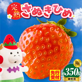 【ふるさと納税】贈答用　完熟さぬき姫　極み　約350g 完熟フルーツ おすすめ 人気 贈答 贈り物 化粧箱 いちご 果物 フルーツ デザート 果実 さぬきひめ 旬の果物 旬 完熟 甘い いちごジャム ストロベリー 香川県 三木町 送料無料