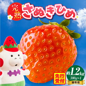 【ふるさと納税】贈答用　完熟さぬき姫　約1.2kg いちご 果物 フルーツ デザート 果実 さぬきひめ 旬の果物 旬 完熟 甘い いちごジャム 完熟いちご 完熟フルーツ おすすめ 人気 贈答 希少 贈り物 香川県オリジナル 化粧箱 ご褒美 ストロベリー 香川県 三木町 送料無料