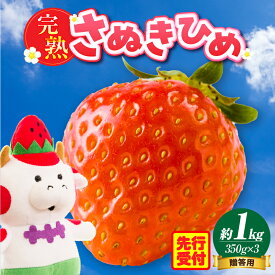 【ふるさと納税】贈答用　完熟さぬき姫　約1.0kg いちご 果物 フルーツ デザート 果実 さぬきひめ 旬の果物 旬 完熟 甘い いちごジャム 完熟いちご 完熟フルーツ おすすめ 人気 贈答 贈り物 化粧箱 ご褒美 ストロベリー 香川県 三木町 送料無料