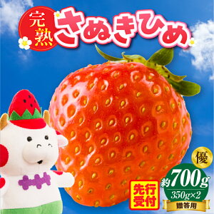 yӂ邳Ɣ[Łzp@nʂP@D@700g  ʕ t[c fU[g ʎ ʂЂ {̉ʕ { n Â W n nt[c  lC   