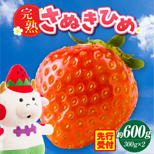 yӂ邳Ɣ[ŁznʂP@600g  ʕ t[c fU[g ʎ ʂЂ {̉ʕ { n Â W n nt[c  lC 쌧IWi 