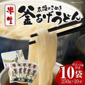 【ふるさと納税】釜あげうどん半生10袋入 うどん さぬきうどん 讃岐うどん 本場 めんつゆ付き 半生うどん 釜あげうどん 太麺 伝統 香川 半生 三木町