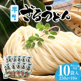 【ふるさと納税】ざるうどん半生10袋入（つゆ付） うどん さぬきうどん 讃岐うどん ざるうどん 細麺 半生うどん コシ めんつゆ付き かけ 釜あげ ぶっかけ 伝統 香川 半生 三木町