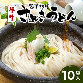 【ふるさと納税】 包丁切りさぬきうどん半生10袋入 うどん つゆ おすすめ 人気 うどんセット セット 半生うどん 簡単調理 麺 麺料理 コシ アレンジ 料理 出汁 お取り寄せ かけうどん 釜揚げうどん グルメ 小分け ギフト 時短料理 アレンジ ふるさと 香川県