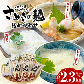 【ふるさと納税】さぬきの麺詰め合わせ（つゆ付） うどん 讃岐うどん さぬきうどん 半生うどん そうめん 詰め合わせ めんつゆ付き 冷麦 モチモチ コシ 伝統 香川 半生 三木町