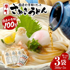 【ふるさと納税】藤麺　国産小麦粉で作ったさぬきうどん うどん 讃岐うどん さぬきうどん 半生うどん めんつゆ付き かけうどん ざるうどん 釜あげうどん ぶっかけうどん 国産 伝統 香川 半生 三木町