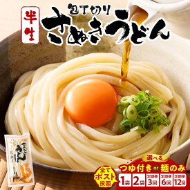【ふるさと納税】【選べる内容量】包丁切りさぬきうどん 半生 うどん つゆ だし セット おすすめ 人気 名物 簡単調理 お試し アレンジ 料理 生活応援 グルメ お取り寄せ うどんセット 半生うどん 2000円 讃岐うどん ギフト 期間限定 小分け 讃岐 つゆ 香川県 三木町 送料無料